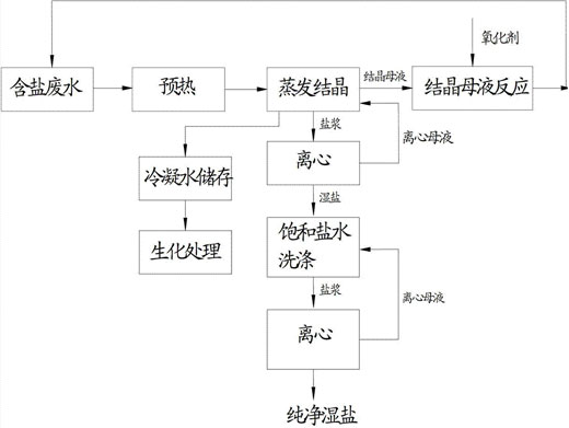 c鿴Ԕ(x)Ϣ(bio)}Uˮ}ԭ xΔ(sh)1964